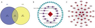 Siteng Fang Reverses Multidrug Resistance in Gastric Cancer: A Network Pharmacology and Molecular Docking Study